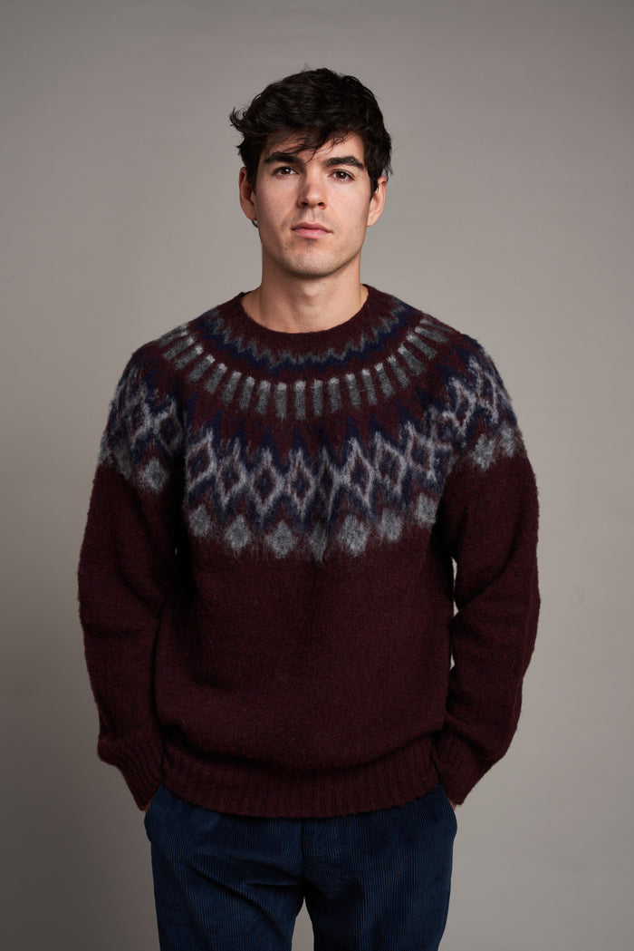 Future fantasy oxford pullover Howlin' - Abbigliamento | M11 Shop