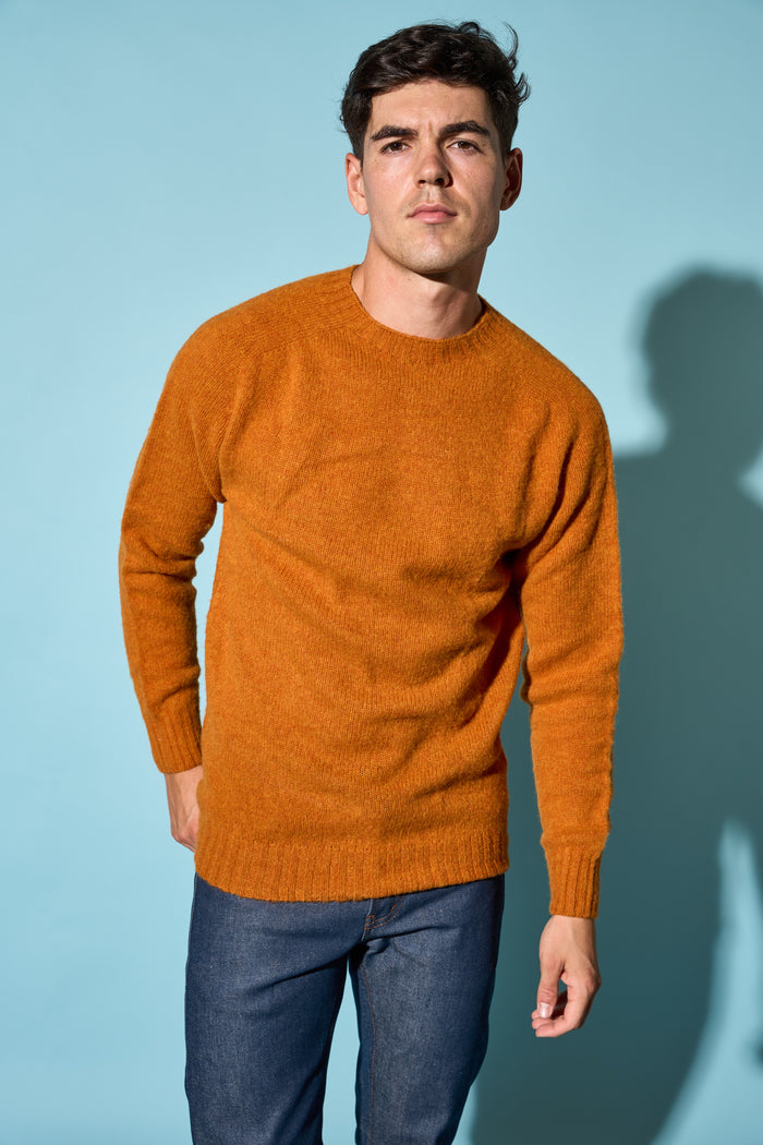 Birth of cool pullover Howlin' - Abbigliamento | M11 Shop