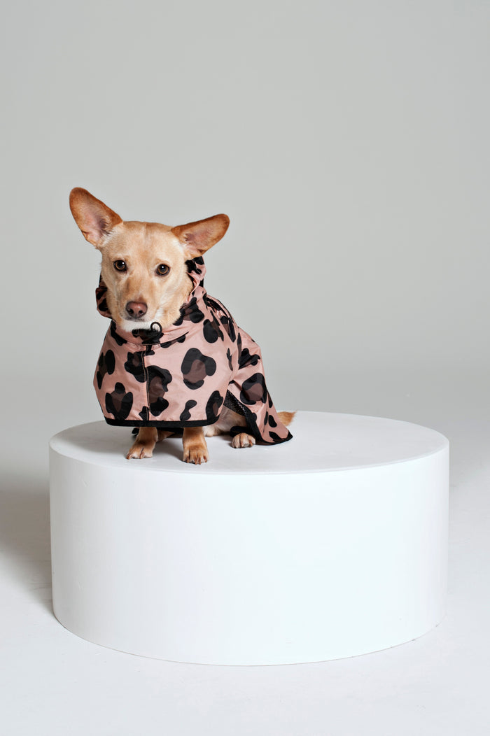 Rainkiss Dog Rain Poncho - Poncho | M11 Shop