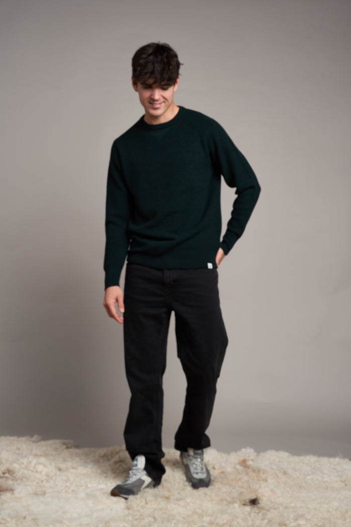 Pullover da uomo Good Basics Merz b. Schwanen | M11 Shop