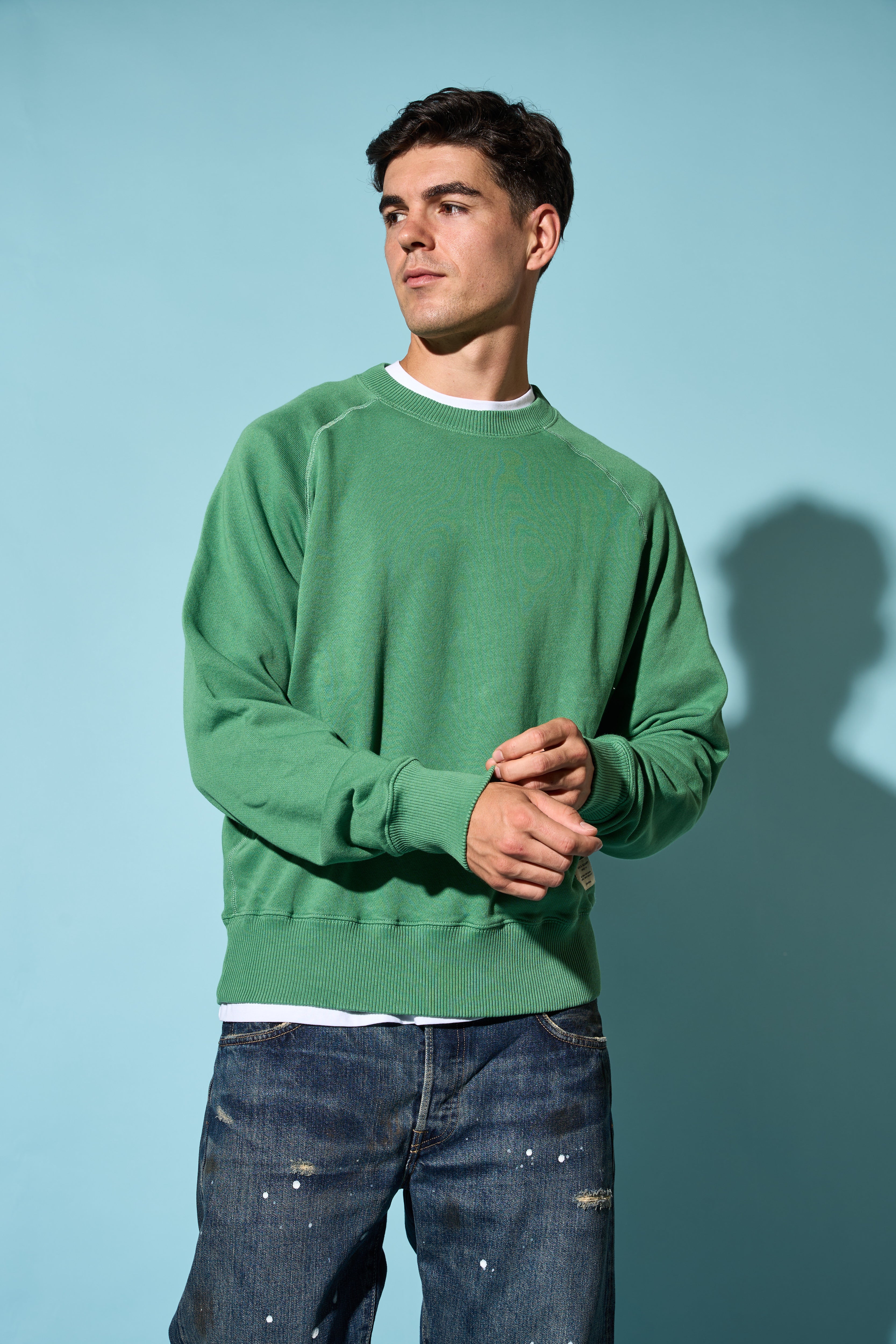 Felpa 100% cotone organico Good Basic Merz b. Schwanen – M11