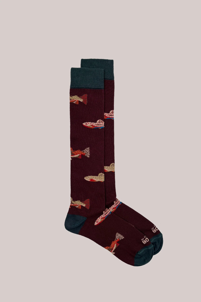 Calze lunghe fantasia da uomo In The Box | M11 Shop