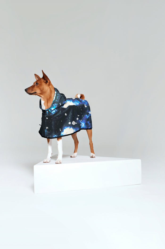 Poncho antipioggia per cani Rainkiss | M11 Shop