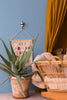 Gancio in legno Wildlife Garden | M11 Shop