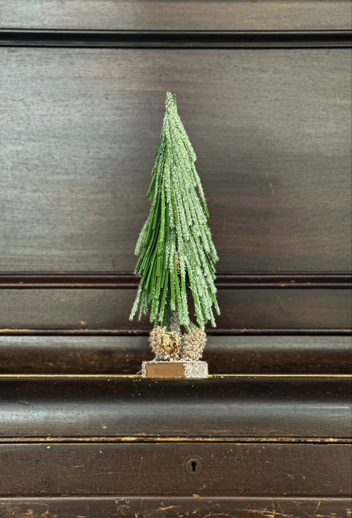 Decorazione Pino Baden - Baden | M11 Shop