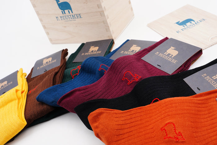 Scatola calzini da uomo settimanali multicolor M. Moustache | M11 Shop